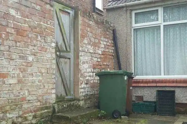 Hardest Optical illusions!! Can You Spot The Cat In This Image?